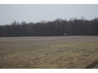 Property photo 1 - 80 +/- Acres Offered in 2 Tracts - Kosciusko County Farm Auction