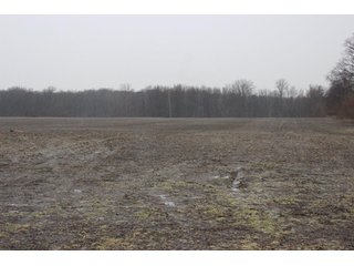 Property photo 4 - 80 +/- Acres Offered in 2 Tracts - Kosciusko County Farm Auction