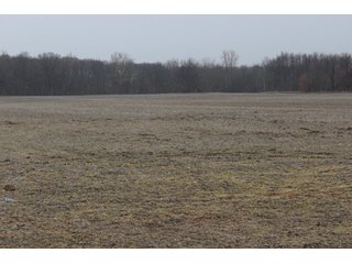 Property photo 5 - 80 +/- Acres Offered in 2 Tracts - Kosciusko County Farm Auction
