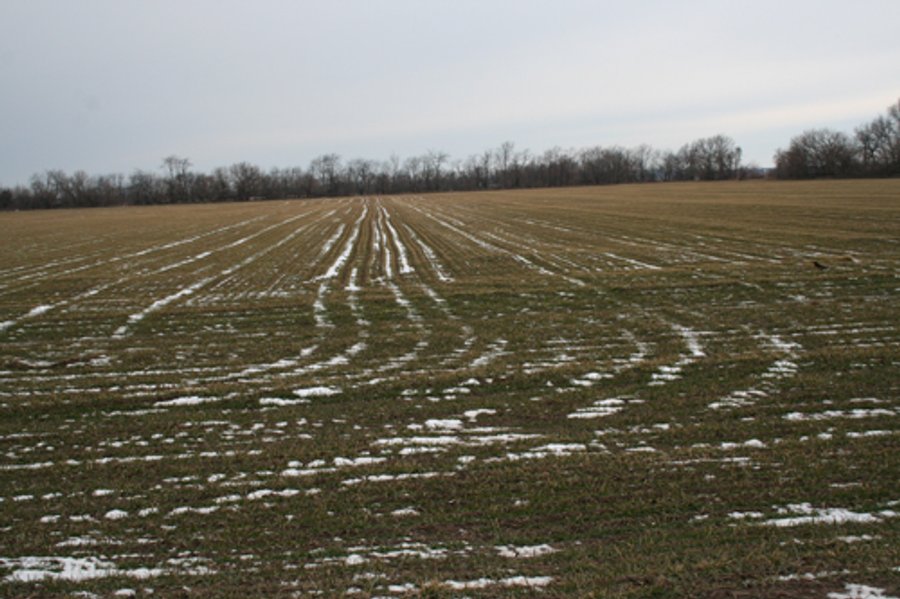 19.14 +/- Acres - Southwestern Michigan Real Estate Auction