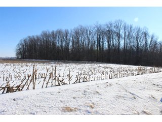 Property photo 4 - 476 +/- Acres Offered in 8 Tracts - Gardner Estate Auction