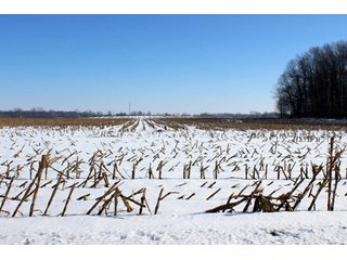 Property photo 5 - 476 +/- Acres Offered in 8 Tracts - Gardner Estate Auction