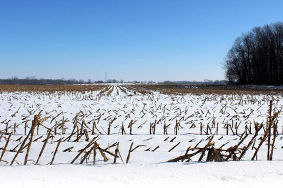 476 +/- Acres Offered in 8 Tracts - Gardner Estate Auction