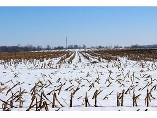 Property photo 10 - 476 +/- Acres Offered in 8 Tracts - Gardner Estate Auction