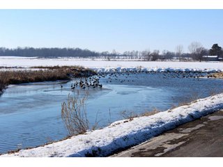Property photo 8 - 476 +/- Acres Offered in 8 Tracts - Gardner Estate Auction