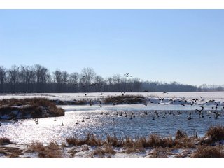 Property photo 11 - 476 +/- Acres Offered in 8 Tracts - Gardner Estate Auction