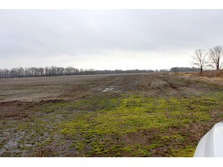 Property photo 9 - 476 +/- Acres Offered in 8 Tracts - Gardner Estate Auction