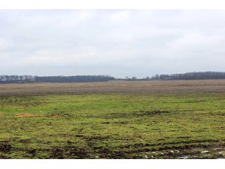 Property photo 2 - 476 +/- Acres Offered in 8 Tracts - Gardner Estate Auction