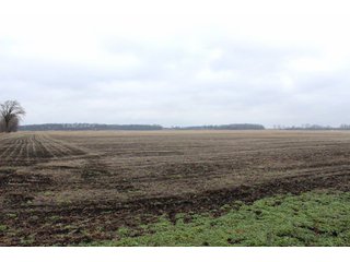 Property photo 7 - 476 +/- Acres Offered in 8 Tracts - Gardner Estate Auction