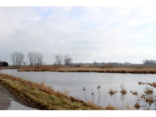 Property photo 6 - 476 +/- Acres Offered in 8 Tracts - Gardner Estate Auction