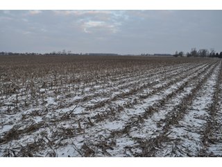 Property photo 1 - 145.43 +/- Acres Offered in 2 Tracts - Kokomo, IN Land Auction