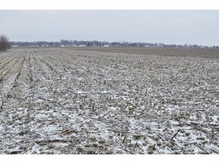 Property photo 3 - 145.43 +/- Acres Offered in 2 Tracts - Kokomo, IN Land Auction