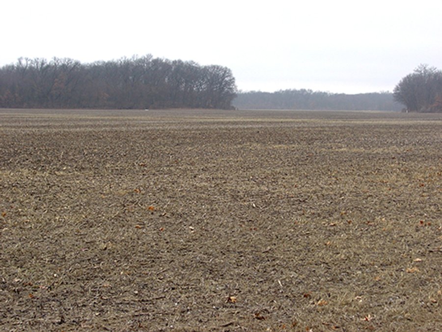 163.22 Acres Tillable Land Real Estate Auction