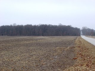 Property photo 2 - 163.22 Acres Tillable Land Real Estate Auction