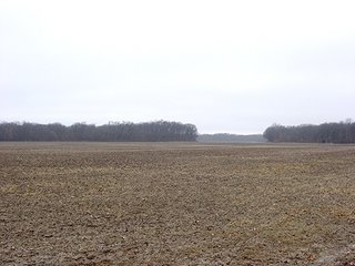 Property photo 3 - 163.22 Acres Tillable Land Real Estate Auction