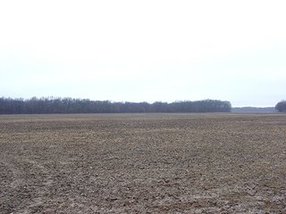 Property photo 1 - 163.22 Acres Tillable Land Real Estate Auction