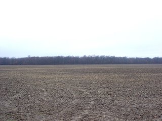Property photo 6 - 163.22 Acres Tillable Land Real Estate Auction