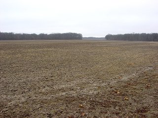 Property photo 4 - 163.22 Acres Tillable Land Real Estate Auction
