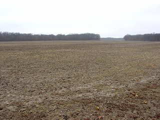 Property photo 5 - 163.22 Acres Tillable Land Real Estate Auction
