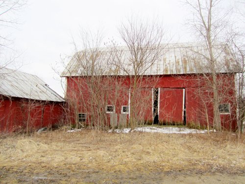 Property photo 3 - AUCTION CANCELLED - 139 +/- Acres Offered in 4 Tracts - Michigan Land