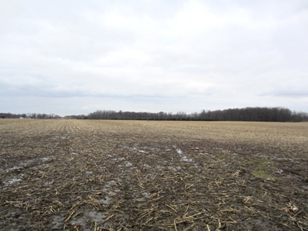 AUCTION CANCELLED - 139 +/- Acres Offered in 4 Tracts - Michigan Land