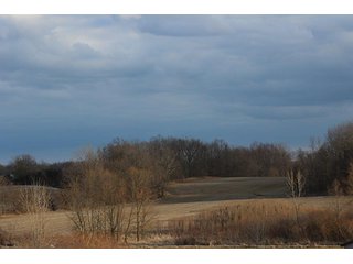 Property photo 2 - 53 +/- Acres Offered in 4 Tracts - Kosciusko County Land Auction