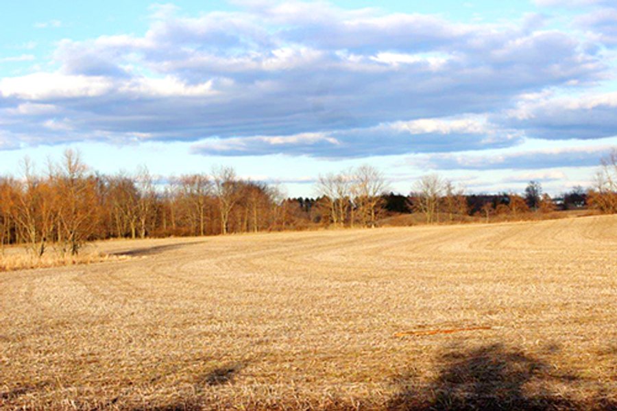 53 +/- Acres Offered in 4 Tracts - Kosciusko County Land Auction