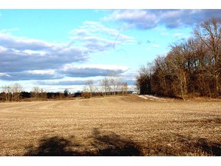 Property photo 1 - 53 +/- Acres Offered in 4 Tracts - Kosciusko County Land Auction