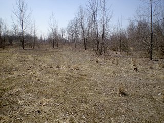 Property photo 3 - 12.3 Acres Offered in 6 Tracts - Commercial & Residential Building Sites