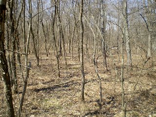 Property photo 5 - 12.3 Acres Offered in 6 Tracts - Commercial & Residential Building Sites