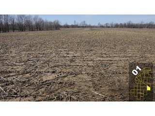 Property photo 3 - 1,600 +/- Acres Offered in 34 Tracts Ranging from 1.7 to 109 Acres - Land Auction 