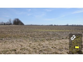 Property photo 6 - 1,600 +/- Acres Offered in 34 Tracts Ranging from 1.7 to 109 Acres - Land Auction 