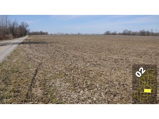 Property photo 7 - 1,600 +/- Acres Offered in 34 Tracts Ranging from 1.7 to 109 Acres - Land Auction 