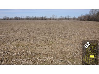 Property photo 8 - 1,600 +/- Acres Offered in 34 Tracts Ranging from 1.7 to 109 Acres - Land Auction 