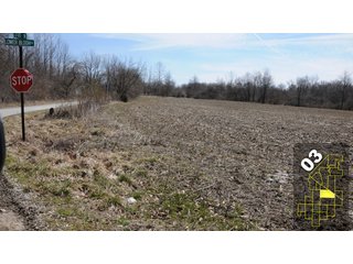 Property photo 11 - 1,600 +/- Acres Offered in 34 Tracts Ranging from 1.7 to 109 Acres - Land Auction 