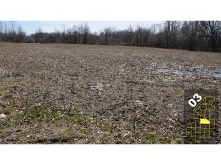 Property photo 12 - 1,600 +/- Acres Offered in 34 Tracts Ranging from 1.7 to 109 Acres - Land Auction 