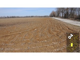 Property photo 16 - 1,600 +/- Acres Offered in 34 Tracts Ranging from 1.7 to 109 Acres - Land Auction 