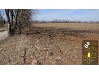 Property photo 17 - 1,600 +/- Acres Offered in 34 Tracts Ranging from 1.7 to 109 Acres - Land Auction 