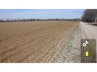Property photo 18 - 1,600 +/- Acres Offered in 34 Tracts Ranging from 1.7 to 109 Acres - Land Auction 