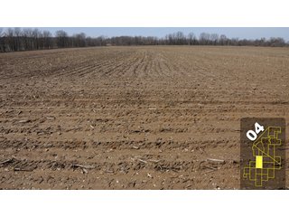Property photo 19 - 1,600 +/- Acres Offered in 34 Tracts Ranging from 1.7 to 109 Acres - Land Auction 