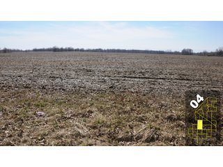 Property photo 20 - 1,600 +/- Acres Offered in 34 Tracts Ranging from 1.7 to 109 Acres - Land Auction 
