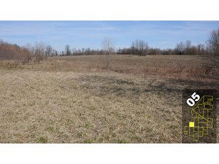 Property photo 23 - 1,600 +/- Acres Offered in 34 Tracts Ranging from 1.7 to 109 Acres - Land Auction 