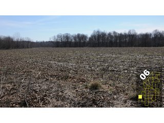 Property photo 30 - 1,600 +/- Acres Offered in 34 Tracts Ranging from 1.7 to 109 Acres - Land Auction 