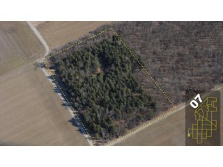 Property photo 32 - 1,600 +/- Acres Offered in 34 Tracts Ranging from 1.7 to 109 Acres - Land Auction 