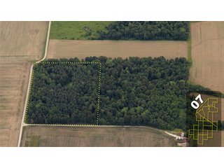 Property photo 33 - 1,600 +/- Acres Offered in 34 Tracts Ranging from 1.7 to 109 Acres - Land Auction 