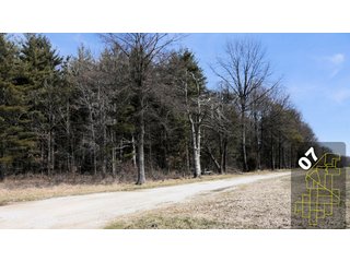 Property photo 34 - 1,600 +/- Acres Offered in 34 Tracts Ranging from 1.7 to 109 Acres - Land Auction 