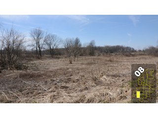 Property photo 37 - 1,600 +/- Acres Offered in 34 Tracts Ranging from 1.7 to 109 Acres - Land Auction 