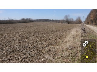 Property photo 41 - 1,600 +/- Acres Offered in 34 Tracts Ranging from 1.7 to 109 Acres - Land Auction 