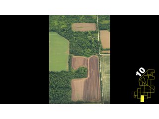 Property photo 43 - 1,600 +/- Acres Offered in 34 Tracts Ranging from 1.7 to 109 Acres - Land Auction 