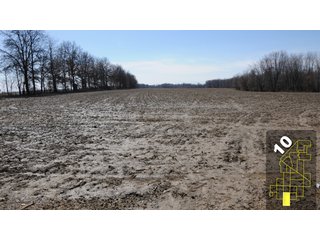 Property photo 44 - 1,600 +/- Acres Offered in 34 Tracts Ranging from 1.7 to 109 Acres - Land Auction 